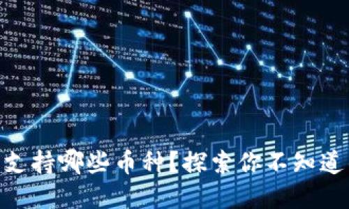 MetaMask钱包支持哪些币种？探索你不知道的数字资产世界