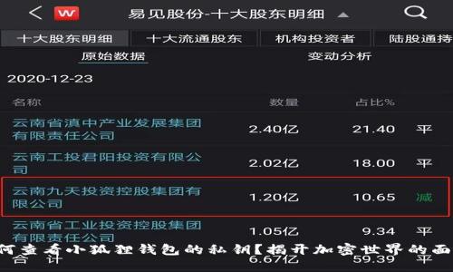 如何查看小狐狸钱包的私钥？揭开加密世界的面纱！