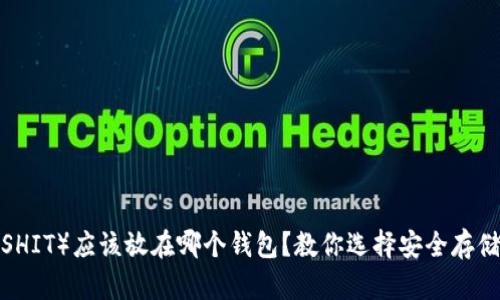 屎币（SHIT）应该放在哪个钱包？教你选择安全存储方案！