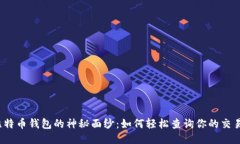 揭开比特币钱包的神秘面