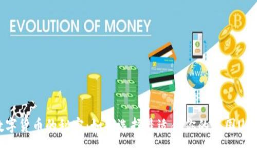 揭开数字货币的秘密：如何选择最适合你的美国USDT钱包