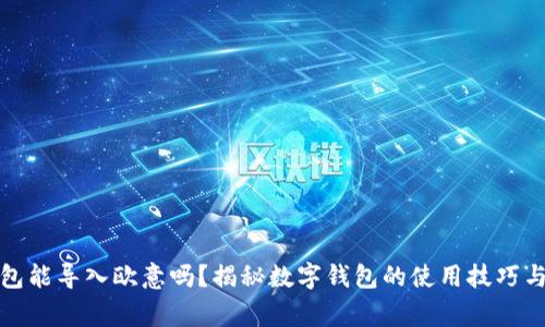 小狐狸钱包能导入欧意吗？揭秘数字钱包的使用技巧与注意事项