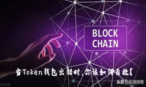 当Token钱包出错时，你该如何自救？