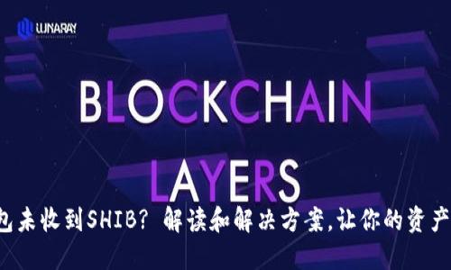 小狐狸钱包未收到SHIB? 解读和解决方案，让你的资产安全无忧！