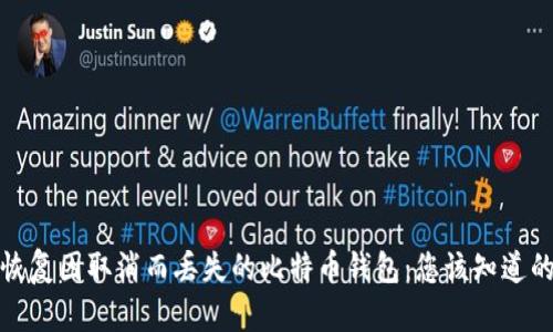 如何恢复因取消而丢失的比特币钱包：您该知道的一切