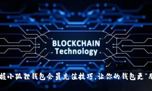 掌握小狐狸钱包会员充值技巧，让你的钱包更“肥”！