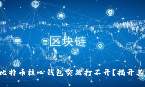 为何你的比特币核心钱包突然打不开？揭开其中的秘密！