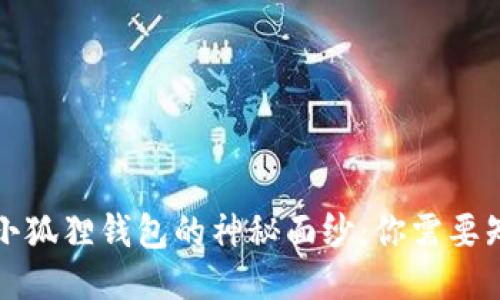 揭开DeFi小狐狸钱包的神秘面纱：你需要知道的一切
