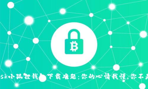 “MetaMask小狐狸钱包下载难题：你的心情我懂，你不是一个人！”