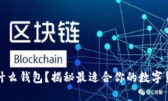 买狗狗币用什么钱包？揭