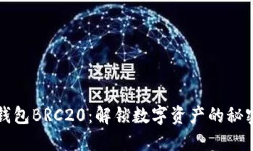 小狐狸钱包BRC20：解锁数字资产的秘密与未来