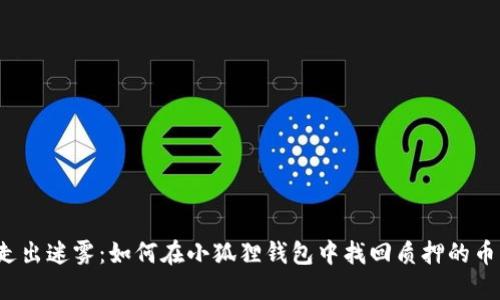 走出迷雾：如何在小狐狸钱包中找回质押的币？