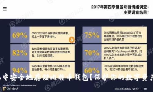 如何在手机中安全地存储比特币钱包？保护你的数字资产不容忽视！