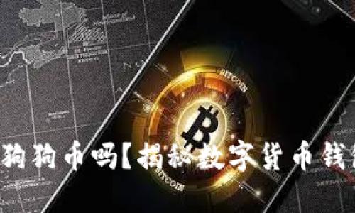 火币钱包支持狗狗币吗？揭秘数字货币钱包的隐藏信息！