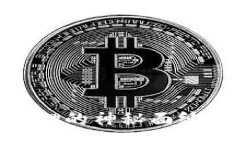 揭开小狐狸钱包质押的神秘面纱：新手必看的全攻略