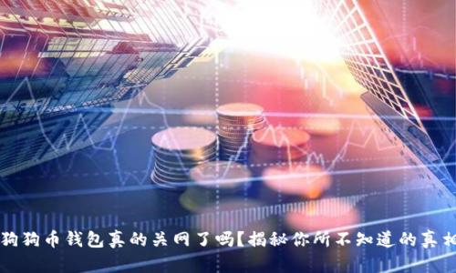 狗狗币钱包真的关网了吗？揭秘你所不知道的真相