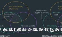 是否支持手机端？揭秘小