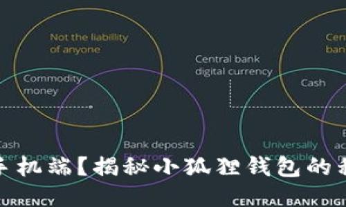 是否支持手机端？揭秘小狐狸钱包的移动便利性