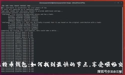 揭秘比特币钱包：如何找到最快的节点，享受顺畅交易体验