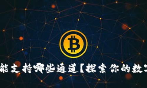 MetaMask钱包能支持哪些通道？探索你的数字资产的新天地！