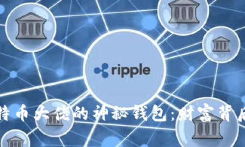 揭秘比特币大佬的神秘钱包：财富背后的故事