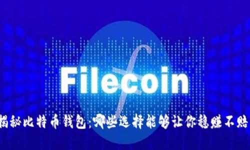 揭秘比特币钱包：哪些选择能够让你稳赚不赔？
