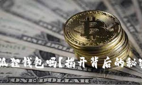你知道如何自定义安装小狐狸钱包吗？揭开背后的秘密，轻松管理你的数字资产！