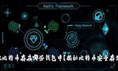 到底该把比特币存在哪些