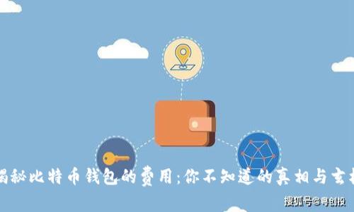 揭秘比特币钱包的费用：你不知道的真相与玄机