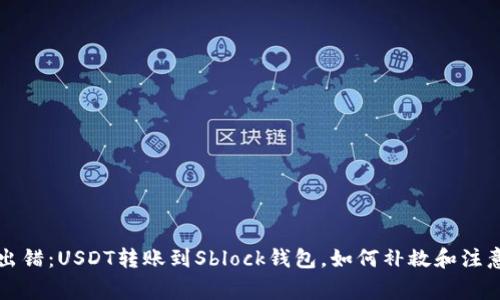 万一出错：USDT转账到Sblock钱包，如何补救和注意事项