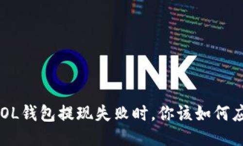 当SOL钱包提现失败时，你该如何应对？
