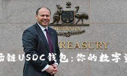 轻松掌握波场链USDC钱包：你的数字资产安全之道