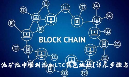 如何在鱼池矿池中顺利添加LTC钱包地址？详尽步骤与注意事项
