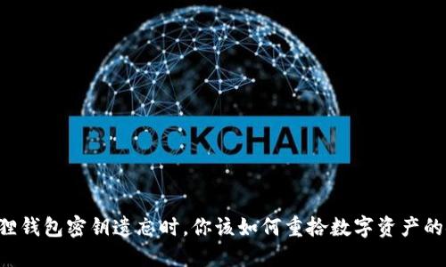 当小狐狸钱包密钥遗忘时，你该如何重拾数字资产的安全感？