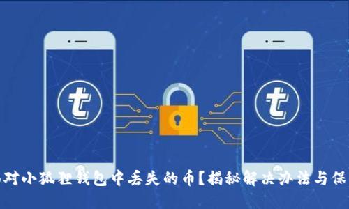 如何面对小狐狸钱包中丢失的币？揭秘解决办法与保护策略