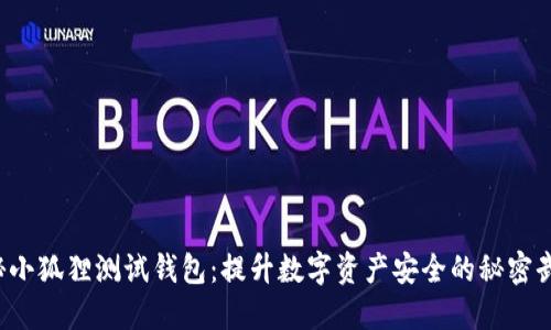 揭秘小狐狸测试钱包：提升数字资产安全的秘密武器！