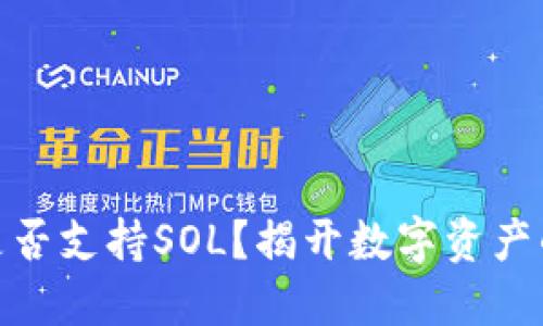 狐狸钱包是否支持SOL？揭开数字资产的神秘面纱