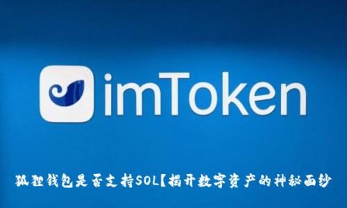 狐狸钱包是否支持SOL？揭开数字资产的神秘面纱