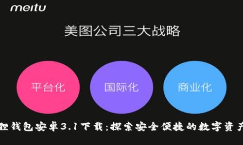小狐狸钱包安卓3.1下载：探索安全便捷的数字资产世界