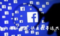 揭秘小狐狸钱包的神秘来