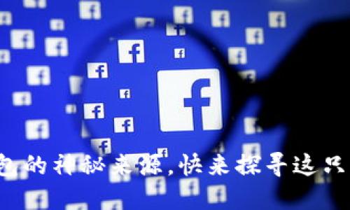 揭秘小狐狸钱包的神秘来源，快来探寻这只可爱的小狐狸！