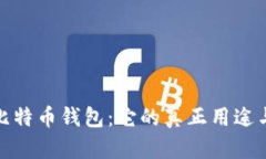 揭秘比特币钱包：它的真