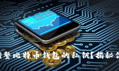 如何安全地调整比特币钱包的私钥？揭秘你的财富秘密！