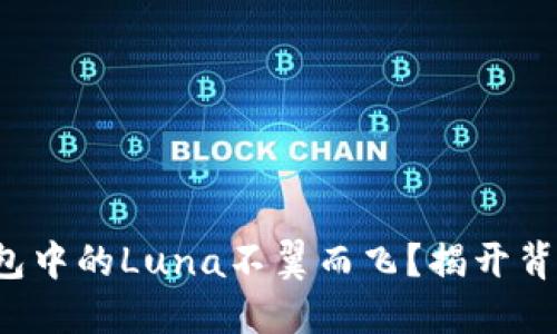 小狐狸钱包中的Luna不翼而飞？揭开背后的秘密！