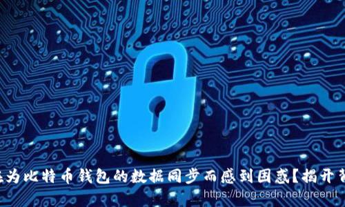 你是否也在为比特币钱包的数据同步而感到困惑？揭开背后的真相！