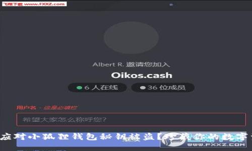 如何应对小狐狸钱包秘钥被盗？珍藏你的数字资产！