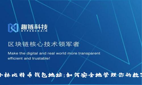 揭秘小林比特币钱包地址：如何安全地管理你的数字资产