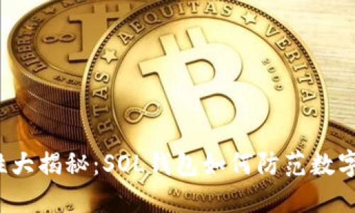 钱包安全性大揭秘：SOL钱包如何防范数字资产风险？