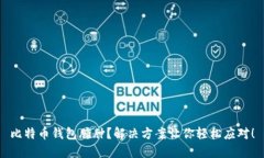 比特币钱包臃肿？解决方