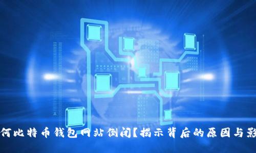 为何比特币钱包网站倒闭？揭示背后的原因与影响